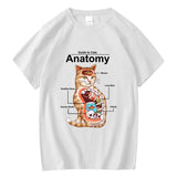 Anatomy of Cat 100% cotton